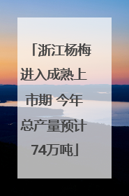 浙江杨梅进入成熟上市期 今年总产量预计74万吨