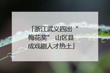 浙江武义四出“梅花奖” 山区县成戏剧人才热土