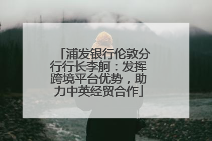 浦发银行伦敦分行行长李舸：发挥跨境平台优势，助力中英经贸合作
