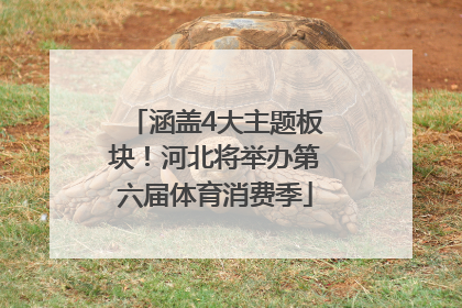 涵盖4大主题板块！河北将举办第六届体育消费季