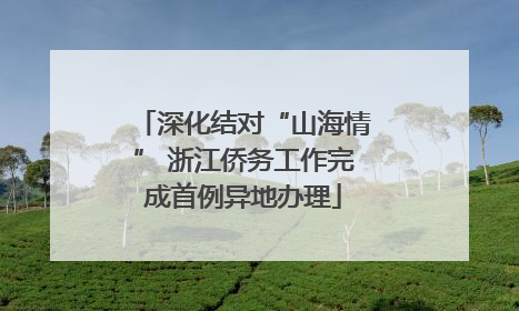深化结对“山海情” 浙江侨务工作完成首例异地办理