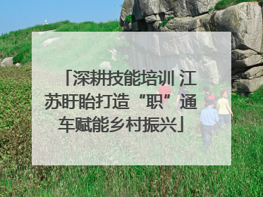 深耕技能培训 江苏盱眙打造“职”通车赋能乡村振兴