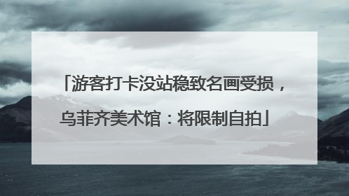 游客打卡没站稳致名画受损，乌菲齐美术馆：将限制自拍