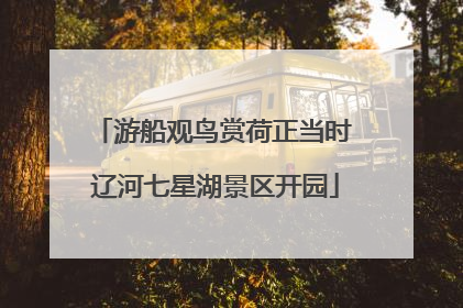 游船观鸟赏荷正当时 辽河七星湖景区开园
