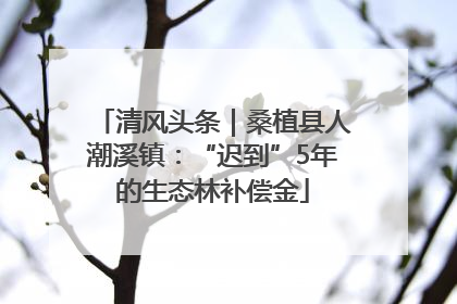 清风头条｜桑植县人潮溪镇：“迟到”5年的生态林补偿金