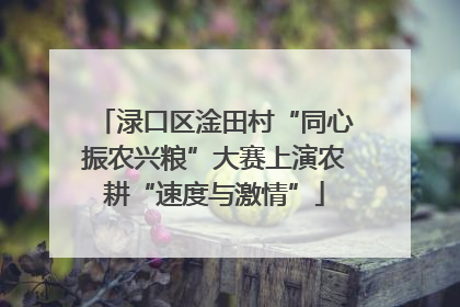 渌口区淦田村“同心振农兴粮”大赛上演农耕“速度与激情”