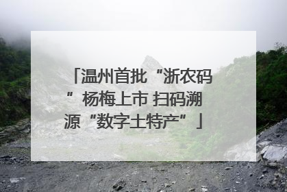温州首批“浙农码”杨梅上市 扫码溯源“数字土特产”