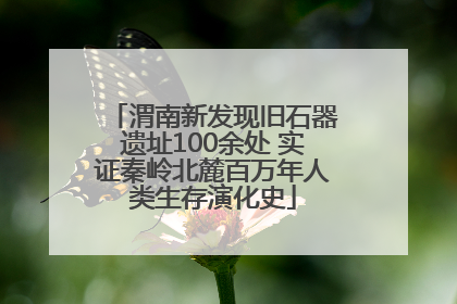 渭南新发现旧石器遗址100余处 实证秦岭北麓百万年人类生存演化史
