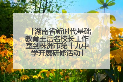 湖南省新时代基础教育王岳名校长工作室到株洲市第十九中学开展研修活动