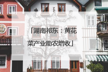 湖南祁东：黄花菜产业助农增收