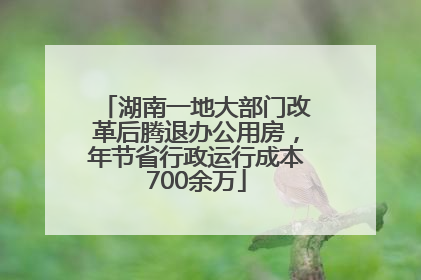 湖南一地大部门改革后腾退办公用房，年节省行政运行成本700余万
