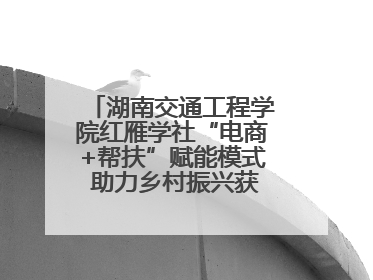 湖南交通工程学院红雁学社“电商+帮扶”赋能模式 助力乡村振兴获帮扶乡镇好评