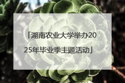 湖南农业大学举办2025年毕业季主题活动