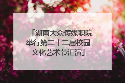 湖南大众传媒职院举行第二十二届校园文化艺术节汇演