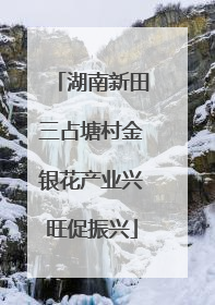 湖南新田三占塘村金银花产业兴旺促振兴
