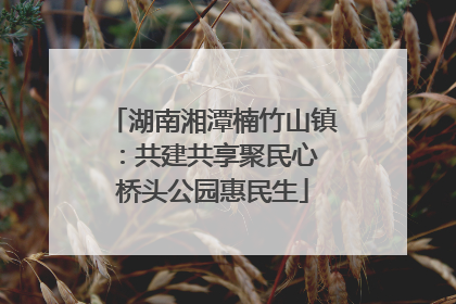 湖南湘潭楠竹山镇：共建共享聚民心 桥头公园惠民生