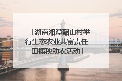 湖南湘潭韶山村举行生态农业共富责任田插秧助农活动
