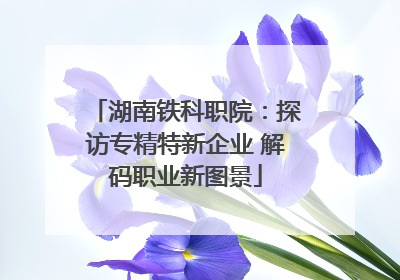 湖南铁科职院：探访专精特新企业 解码职业新图景