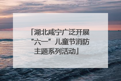 湖北咸宁广泛开展“六一”儿童节消防主题系列活动