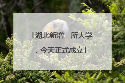 湖北新增一所大学，今天正式成立