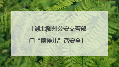 湖北随州公安交管部门“摆摊儿”话安全