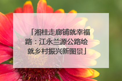 湘桂走廊铺就幸福路：江永兰源公路绘就乡村振兴新图景
