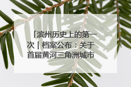 滨州历史上的第一次｜档案公布：关于首届黄河三角洲城市经济博览会暨发展论坛情况的总结报告