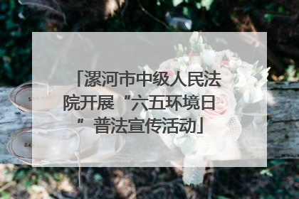 漯河市中级人民法院开展“六五环境日”普法宣传活动