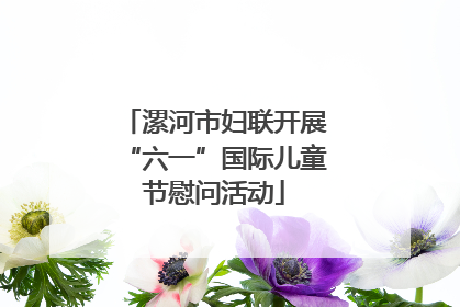 漯河市妇联开展“六一”国际儿童节慰问活动