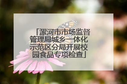 漯河市市场监督管理局城乡一体化示范区分局开展校园食品专项检查