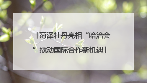 菏泽牡丹亮相“哈洽会”撬动国际合作新机遇