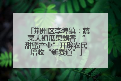 荆州区李埠镇：蔬菜大镇瓜果飘香 “甜蜜产业”开辟农民增收“新赛道”