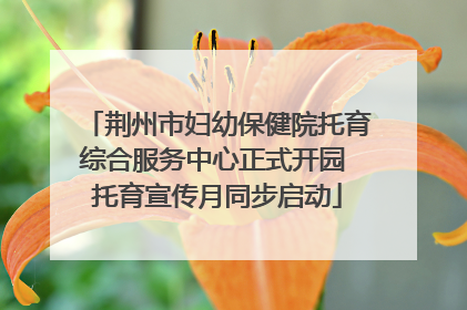 荆州市妇幼保健院托育综合服务中心正式开园 托育宣传月同步启动