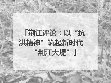 荆江评论：以“抗洪精神”筑起新时代“荆江大堤”