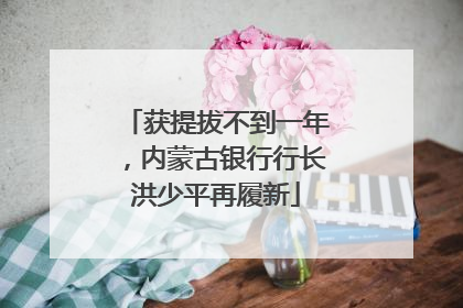 获提拔不到一年，内蒙古银行行长洪少平再履新
