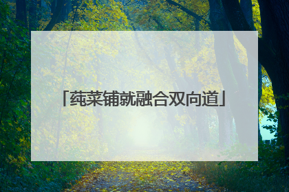 莼菜铺就融合双向道