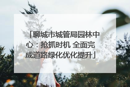 聊城市城管局园林中心：抢抓时机 全面完成道路绿化优化提升