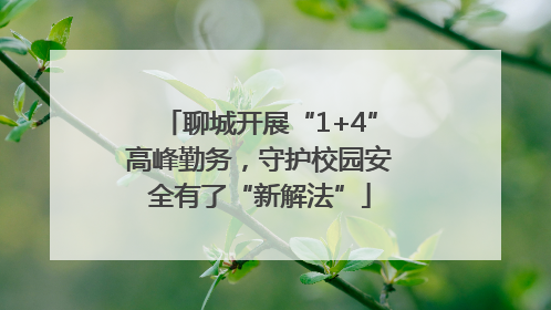聊城开展“1+4”高峰勤务，守护校园安全有了“新解法”