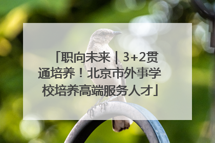 职向未来｜3+2贯通培养！北京市外事学校培养高端服务人才