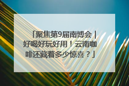 聚焦第9届南博会｜好喝好玩好用！云南咖啡还藏着多少惊喜？