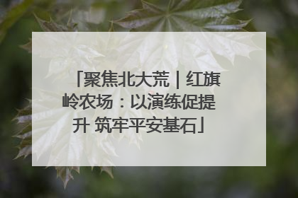 聚焦北大荒｜红旗岭农场：以演练促提升 筑牢平安基石