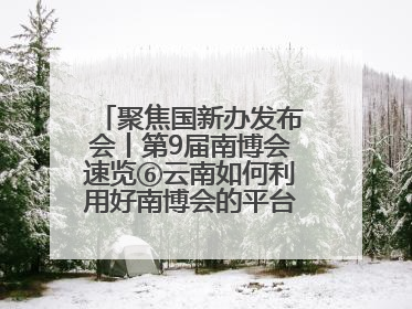 聚焦国新办发布会丨第9届南博会速览⑥云南如何利用好南博会的平台带动作用，深化与南亚国家的交流与合作？
