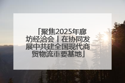 聚焦2025年廊坊经洽会丨在协同发展中共建全国现代商贸物流重要基地