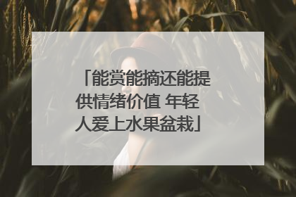 能赏能摘还能提供情绪价值 年轻人爱上水果盆栽