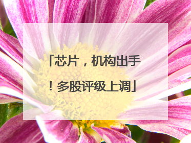 芯片，机构出手！多股评级上调