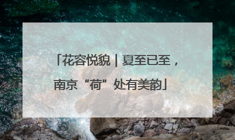 花容悦貌｜夏至已至，南京“荷”处有美韵