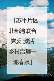 苏平片区北部湾联合党委 激活乡村治理一池春水
