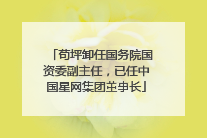 苟坪卸任国务院国资委副主任，已任中国星网集团董事长