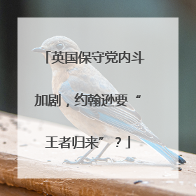 英国保守党内斗加剧，约翰逊要“王者归来”？