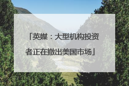 英媒：大型机构投资者正在撤出美国市场